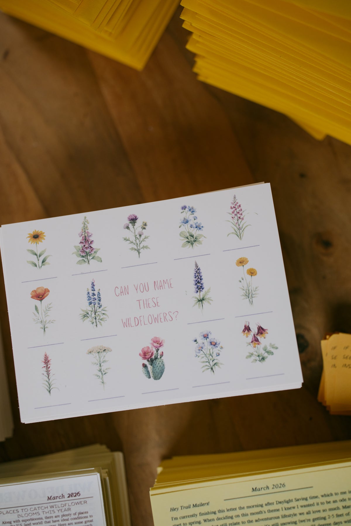 Wildflowers: March 2026 Archive