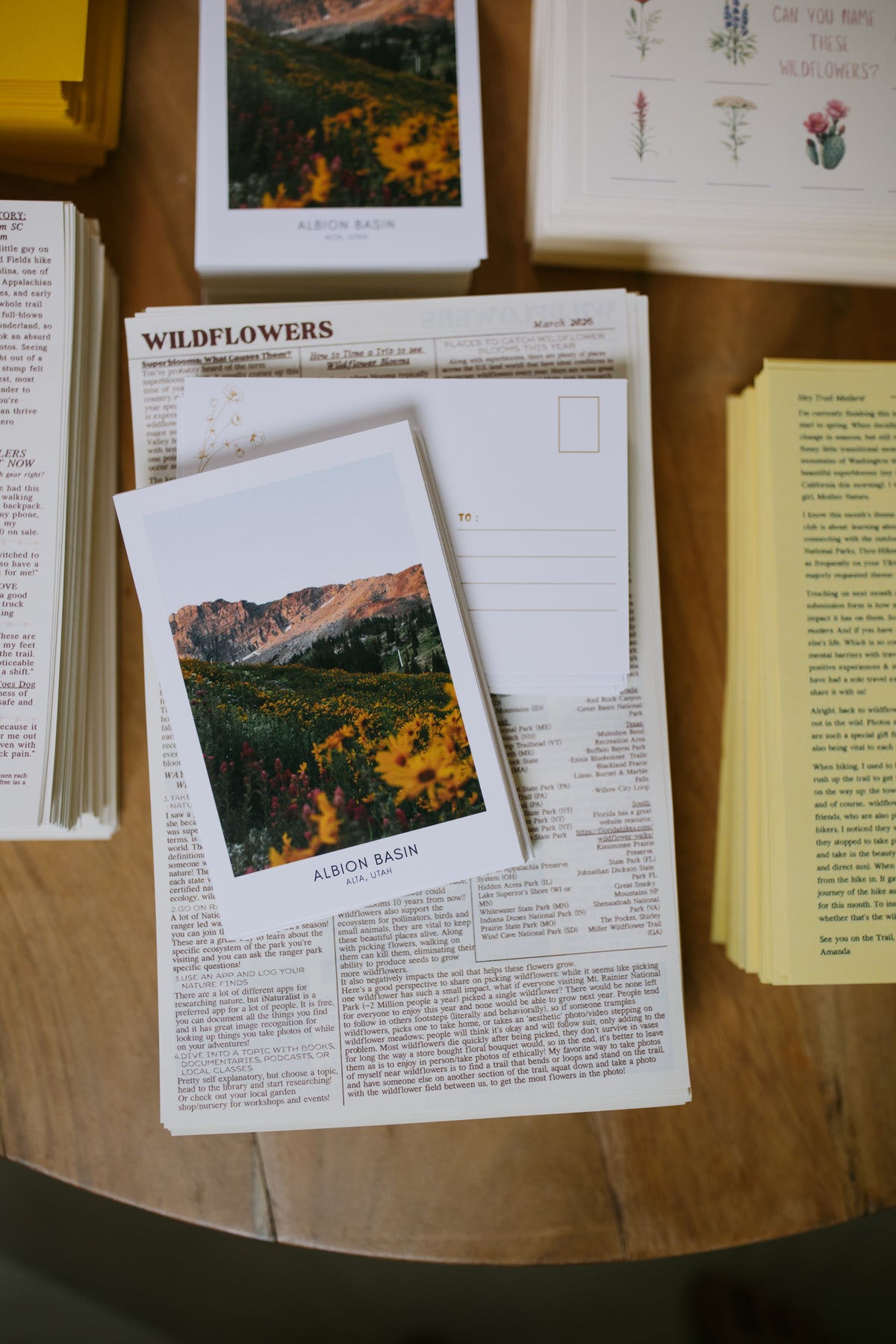 Wildflowers: March 2026 Archive