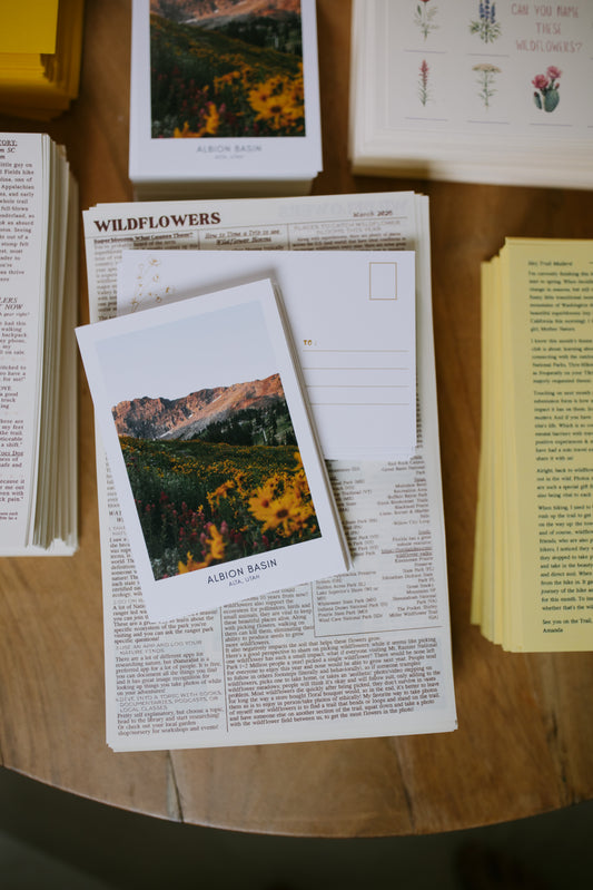 Wildflowers: March 2026 Archive