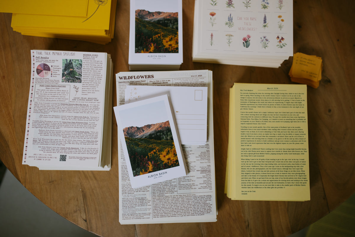 Wildflowers: March 2026 Archive