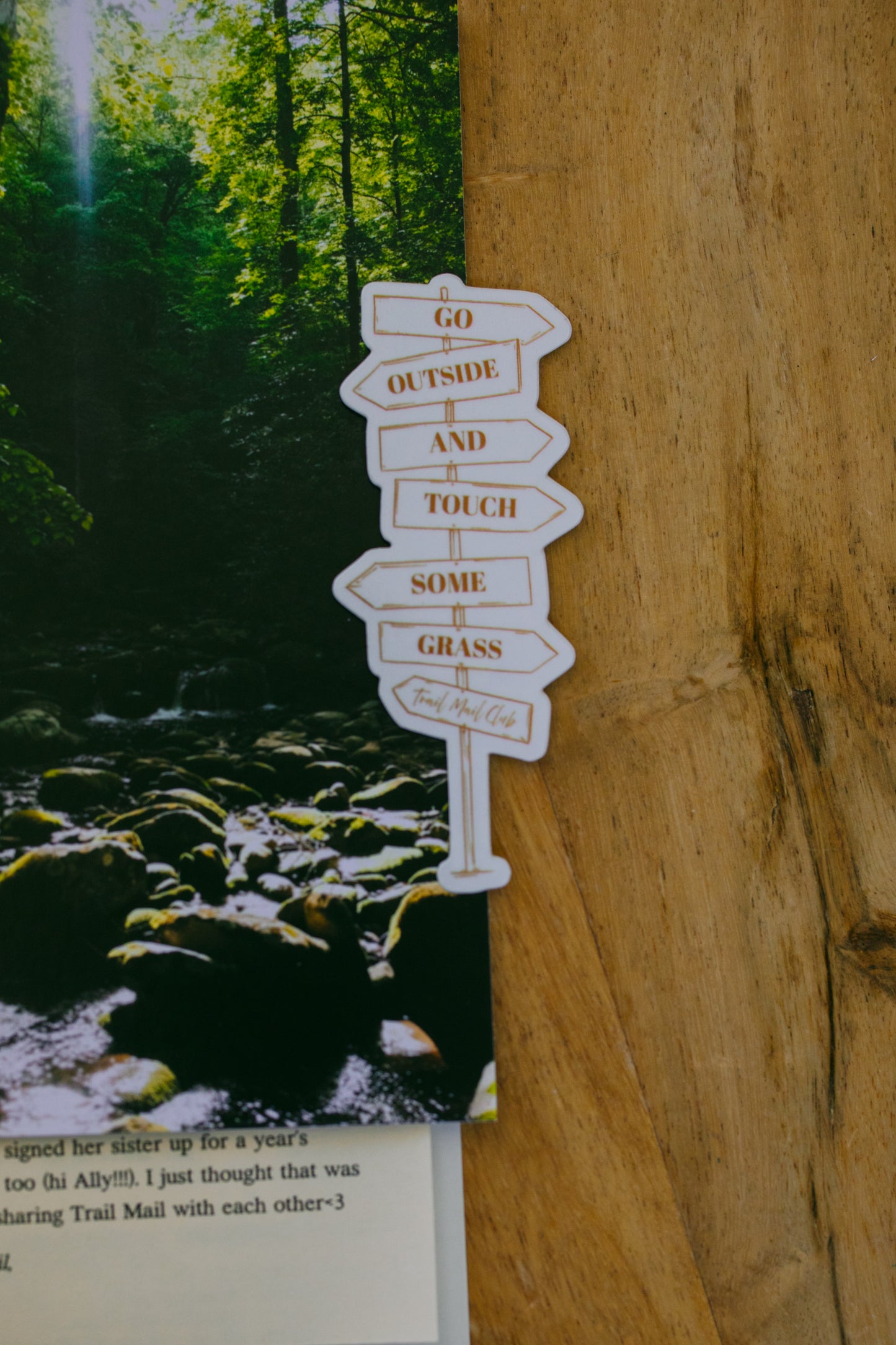 Hiking Safety & Injury Prevention: July 2026 Archive